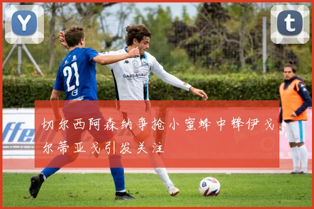 切尔西阿森纳争抢小蜜蜂中锋伊戈尔蒂亚戈引发关注